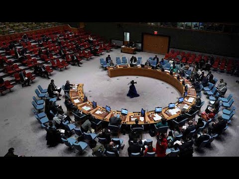 ჩეხეთი გაერო-ს რეზოლუციას აკრიტიკებს