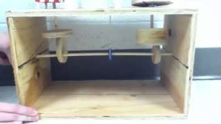 circus automata
