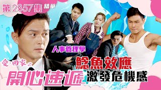 愛回家之開心速遞|人事管理學 鯰魚效應激發危機感(繁/簡字幕)|楊明|單立文|第2357集劇集精華|TVB港劇精華