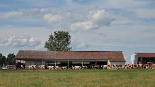 1 AN A LA FERME avec un éleveur laitier