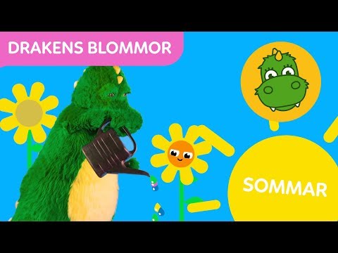 Video: Blomma För En Dag