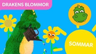 Bolibompa Mini Sommar Drakens Blommor