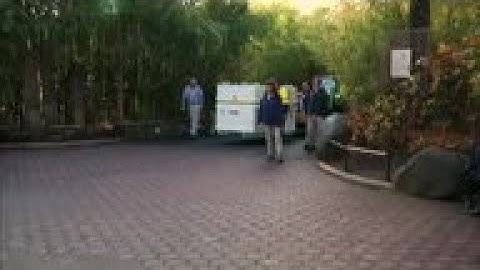 DC zoo sends Bei Bei the panda back to China