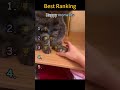 What's going on in a cat's little head? #foryou #funny #haveitoldyoulatelythatiloveyou #cat