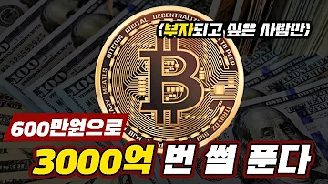 윙스 박호두 윙스 박호두