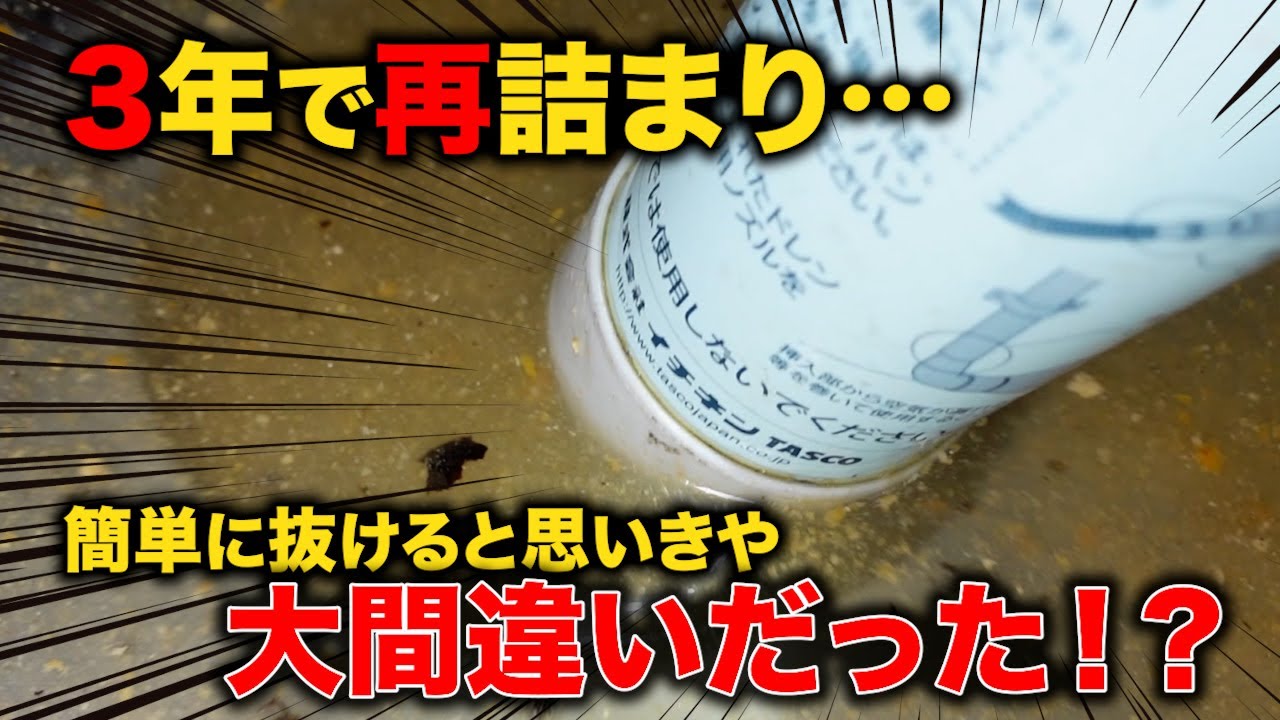 ３年でここまで詰まる！？ 以前行った家を再訪したら“油の成長”がヤバすぎた！【花のお掃除 #441】