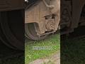 locomotive is running on an old track covered with grass. #train #railtrack #railway #wheels