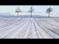 (映像旅行) 開拓極北荒蕪 in日本北海道屈斜路湖、網走、紋別、稚內、名寄(第2集) feat. Canon EOS R6 Mark II