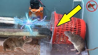 Electric Mouse Trap - Homemade With Battery 12V - Easy Saving A Lot Of Rat by Electric Rat Trap #15