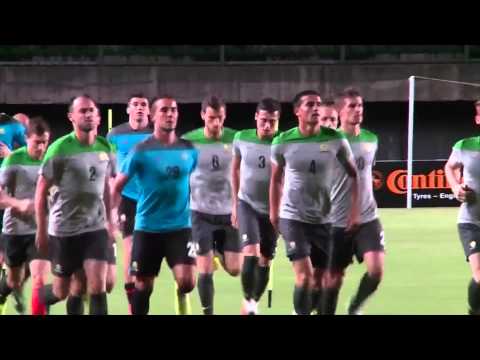 Video: Wie Die Niederlande Bei Der FIFA Fussball-Weltmeisterschaft In Brasilien Abgeschnitten Haben