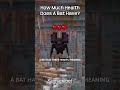 How Much Health Does A Bat Have In Minecraft?!