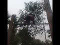 day4 calisthenics practice #motivation #hunk