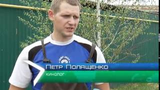 Ежемесячно из харьковского приюта берут 30 животных Ежемесячно из харьковского приюта берут 30 животных