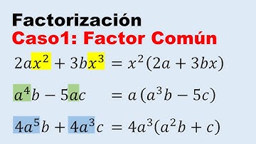 Caso 1 de factorizacion factor comun monomio