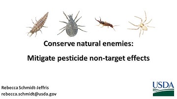 Natural enemy conservation biological control - mitigating pesticide non-target effects