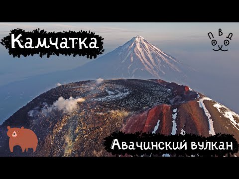 Камчатка | Авачинский вулкан