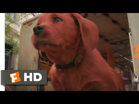 Clifford the Big Red Dog (2021) - Clifford to the Rescue Scene (6/10) | Movieclips