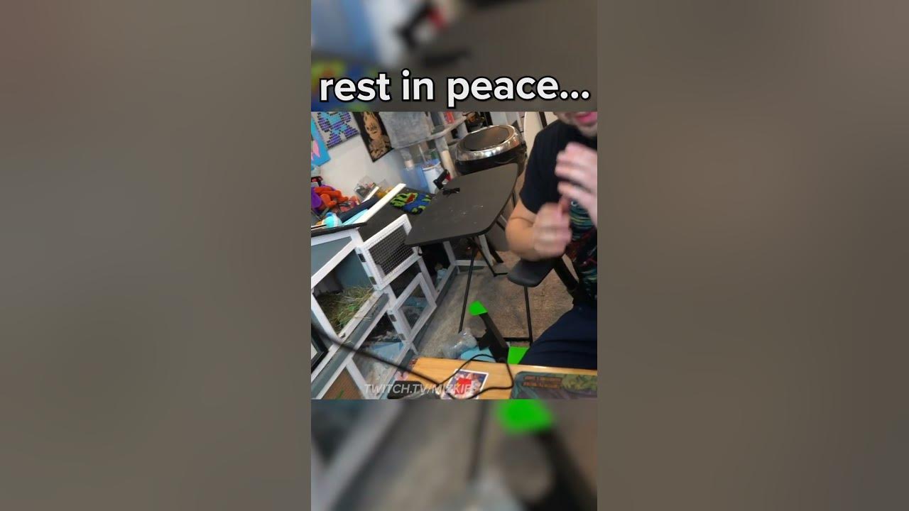 Mizkif cat dies on stream