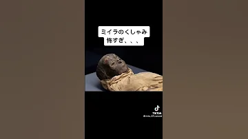 ミイラのくしゃみ 