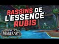 Guide donjon bassins de lessence rubis  world of warcraft dragonflight