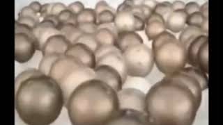 Comerciales Mexicanos Dove Dermo Aclarant 2010