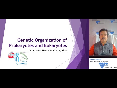 Video: Genetiškai Izoliuotų Populiacijų Panaudojimas Norint Suprasti Ligos Genomą