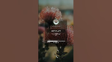 أذكار الصباح/مشاري العفاسي 🧡حالات واتس اب دينية