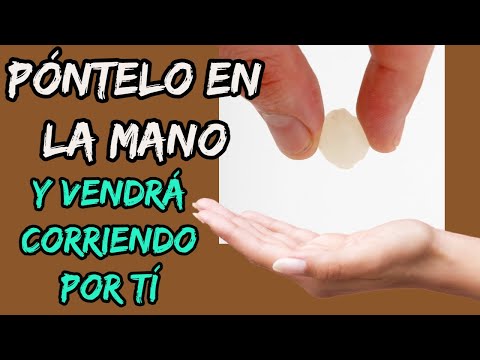 Video: Cómo conseguir que alguien te ame (con imágenes)