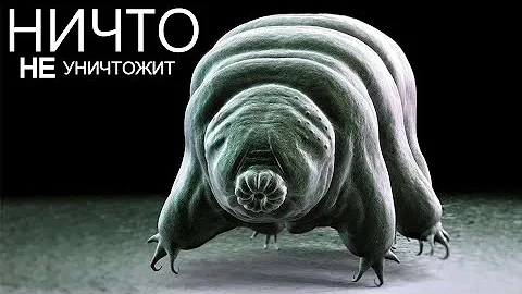 Тихоходки - уникальное существо, которое может жить вечно.