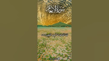 من سورة الأنعام جميل الرحمن مراد#المصحف #الرحمن #prismlivestudio #حالات_واتس #تيك_توك #لايك #اكسبلور