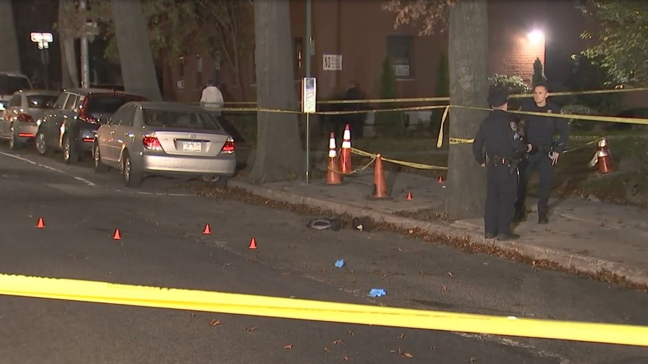 Teen Shot and Killed Near Queens High School; 2 People in Custody | El ...