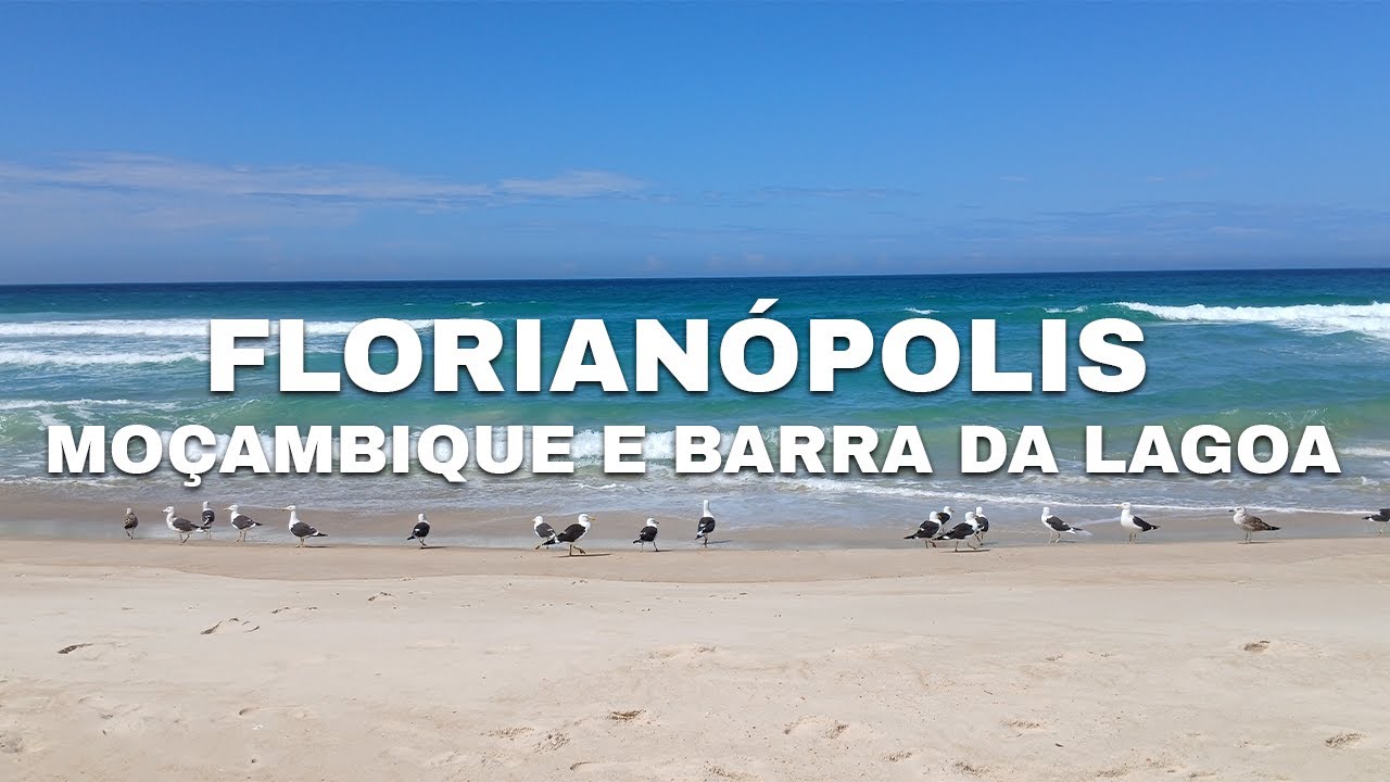 Chegamos em Florianópolis! Moçambique e Barra da Lagoa – Primeiras Aventuras na Ilha