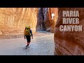 Theres nothing else like it 40 miles of backpacking through paria river canyon