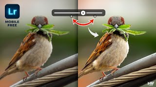 Use This TRICK to SHARPEN Your Images in Lightroom App | Reduce Noise | Android | iOS