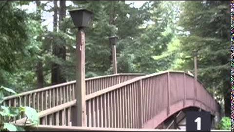 Act 2 - Elevation on a Bridge as a Function of Time