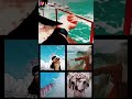 هون سكرات الموت اذا اخرجت الروح من الجسدي 
