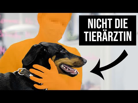 Video: Warum dieser Tierarzt Pflege vor Kosten legt