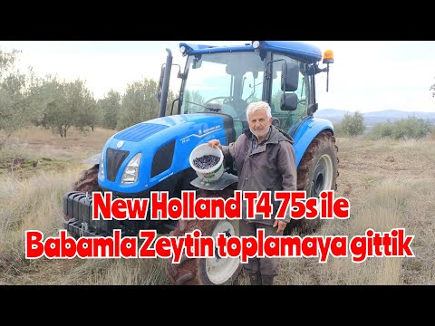 New Holland t4 75s ile Babamla Zeytin toplamaya gittik. Gerçek yol testi.