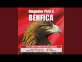 Benfica  nosso