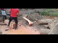 Logs of wood cut into pieces with chainsaw