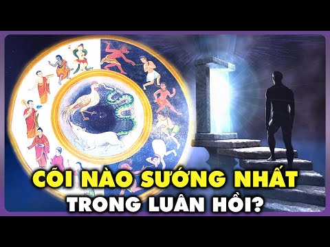 Video: Mục đích của sự luân phiên các thế hệ ở thực vật là gì?