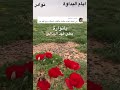 الفنان بطي فهد البذالي يانواره 
