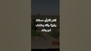 اكت شيء تؤجر عليه 🤍#القارئ #عبدالرحمن_مسعد #قرآن #قران_كريم #اكسبلور