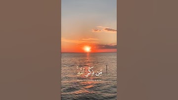 قرآن كريم | سورة الزمر | الشيخ ياسر الدوسري #قرآن_كريم #قرآن #العراق #الجزائر #اليمن #السعودية