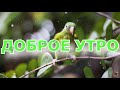 С ДОБРЫМ УТРОМ!ОЧЕНЬ КРАСИВОЕ ПОЖЕЛАНИЕ!ДОБРОЕ УТРО