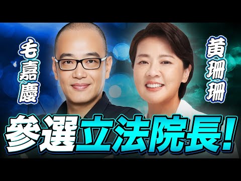 【🔴比特王直球對決】黃珊珊參選立法院長！單挑藍綠？還是保送韓江？拋棄藍綠政治計算與情緒勒索，優先國會改革與司法改革！毛嘉慶VS黃珊珊