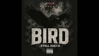 Download Lagu Bird Still Hard LP Available Now on ALL platforms MP3