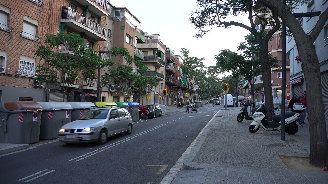 Realidad Roquetense II