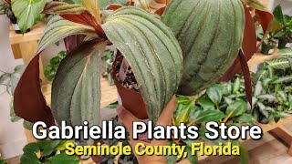 Gabriella Plants Store, Seminole County, Florida