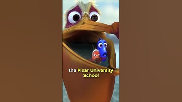Did You Know In FINDING NEMO…